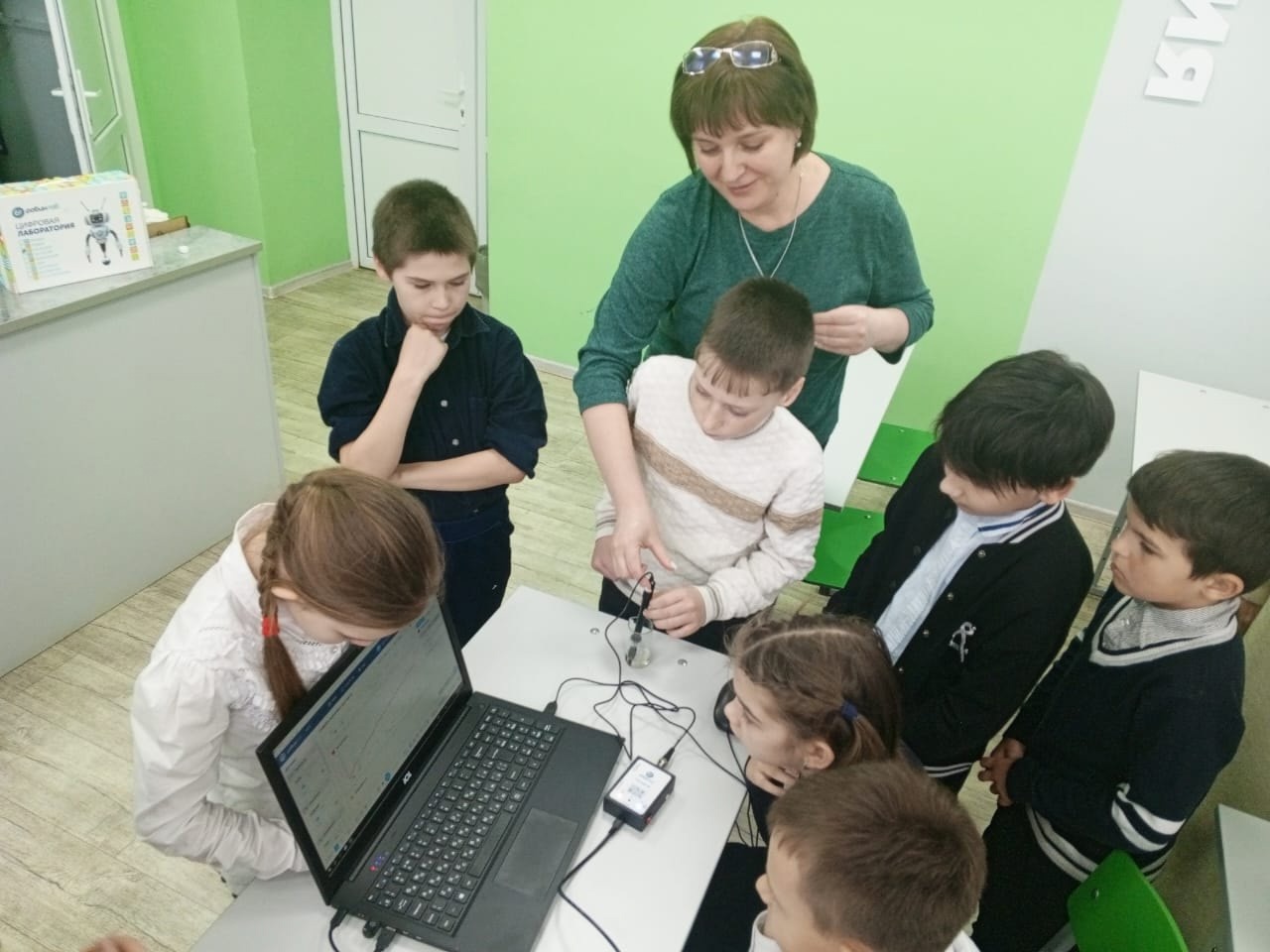Практическое занятие &amp;quot;Щелочи и кислоты&amp;quot;.